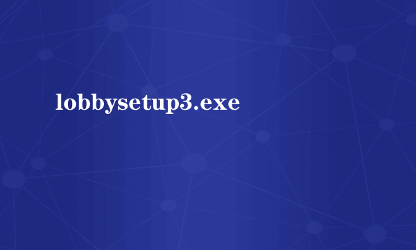 lobbysetup3.exe