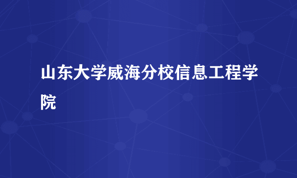 山东大学威海分校信息工程学院