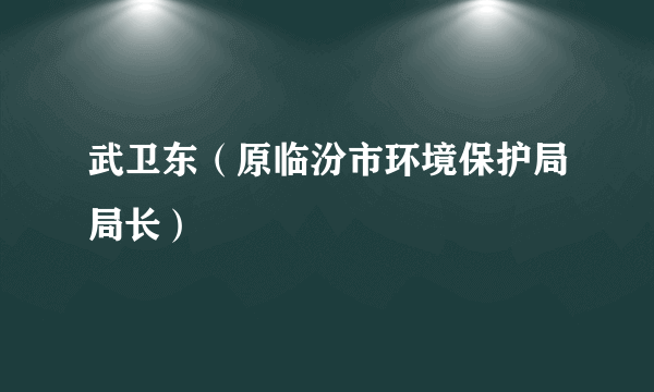 武卫东（原临汾市环境保护局局长）