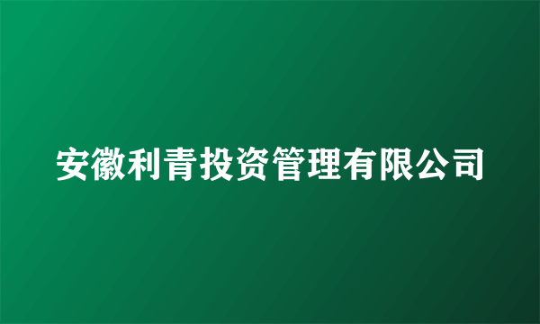 安徽利青投资管理有限公司