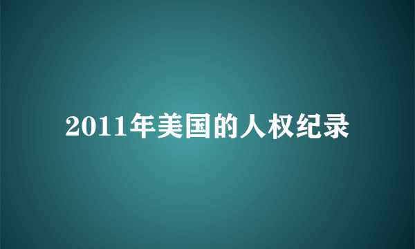 2011年美国的人权纪录