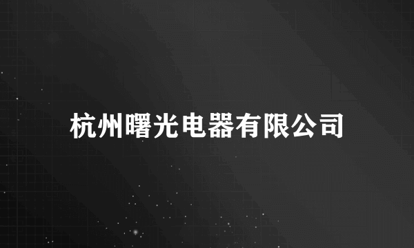 杭州曙光电器有限公司