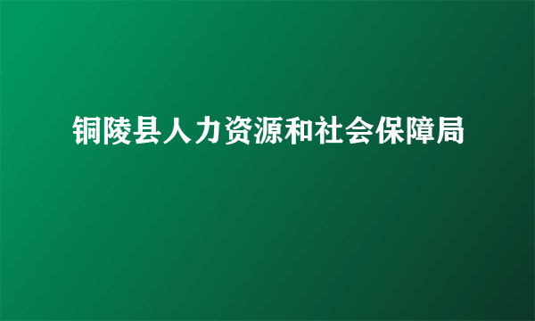 铜陵县人力资源和社会保障局