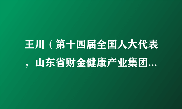 王川（第十四届全国人大代表，山东省财金健康产业集团有限公司董事长助理）