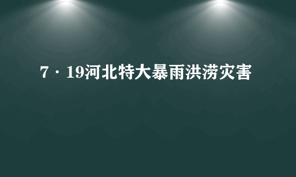 7·19河北特大暴雨洪涝灾害