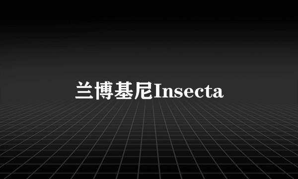 兰博基尼Insecta