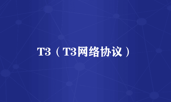 T3（T3网络协议）