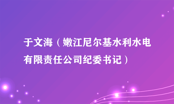 于文海（嫩江尼尔基水利水电有限责任公司纪委书记）