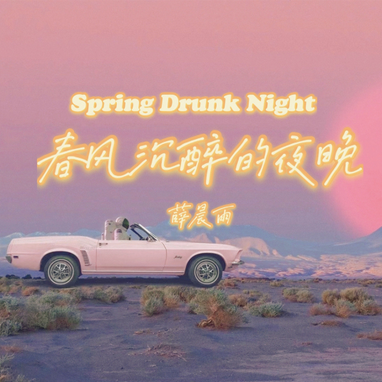 春风沉醉的夜晚（薛晨雨演唱的歌曲）