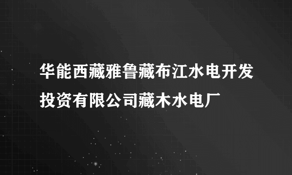 华能西藏雅鲁藏布江水电开发投资有限公司藏木水电厂