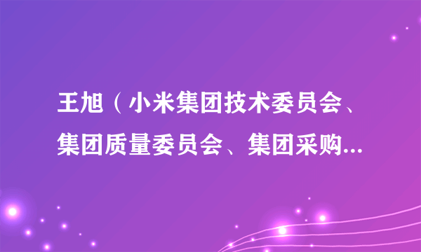 王旭（小米集团技术委员会、集团质量委员会、集团采购委员会政委）