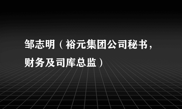 邹志明（裕元集团公司秘书，财务及司库总监）