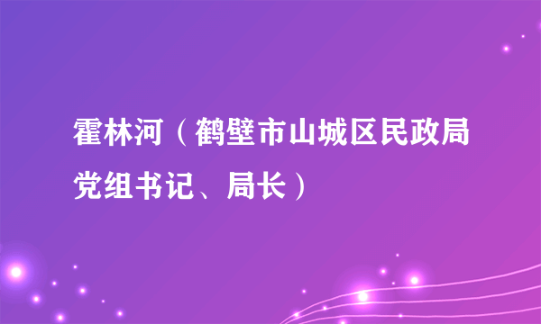 霍林河（鹤壁市山城区民政局党组书记、局长）