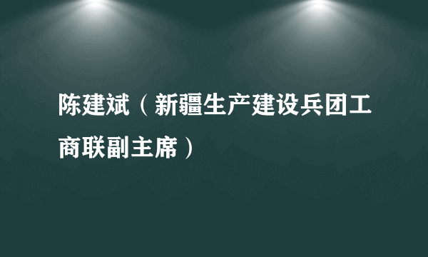 陈建斌（新疆生产建设兵团工商联副主席）