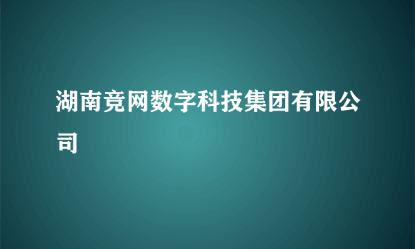 湖南竞网数字科技集团有限公司