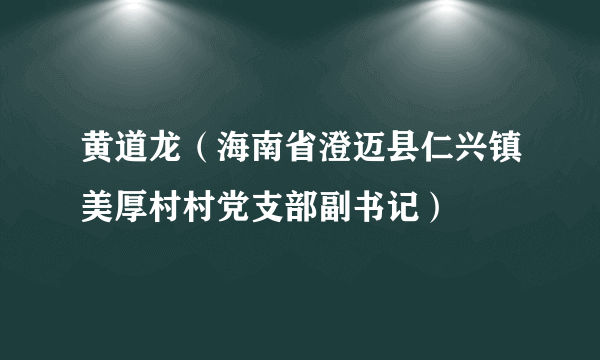 黄道龙（海南省澄迈县仁兴镇美厚村村党支部副书记）