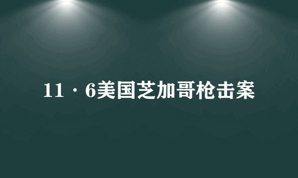 11·6美国芝加哥枪击案