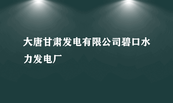 大唐甘肃发电有限公司碧口水力发电厂