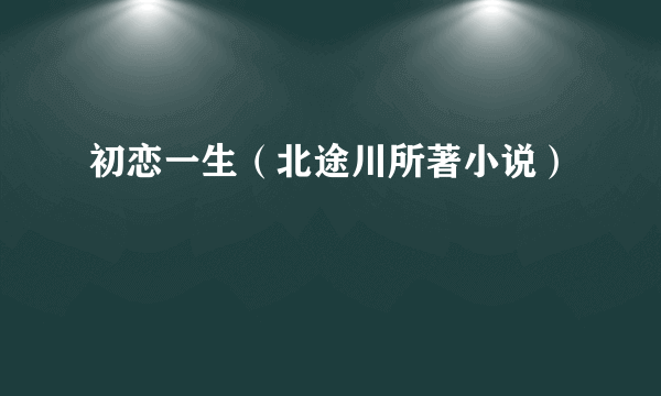 初恋一生（北途川所著小说）