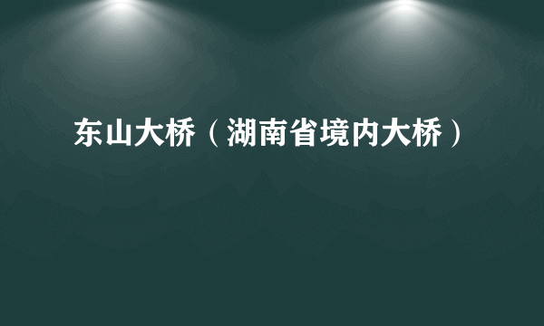 东山大桥（湖南省境内大桥）