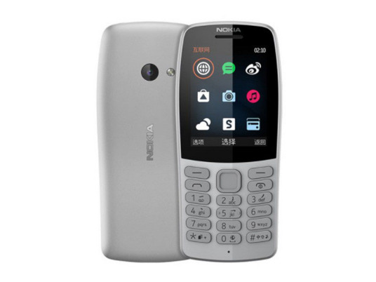 Nokia 210 DS