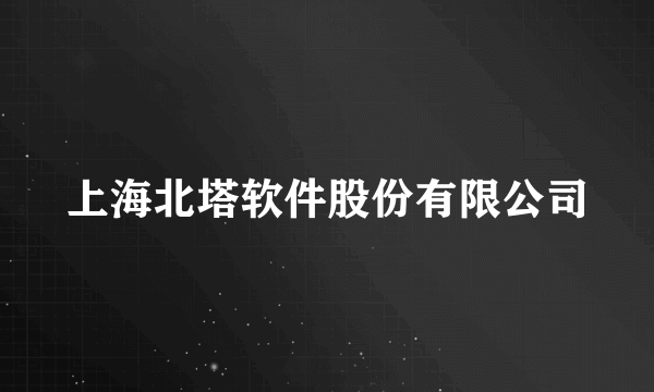 上海北塔软件股份有限公司