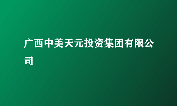 广西中美天元投资集团有限公司