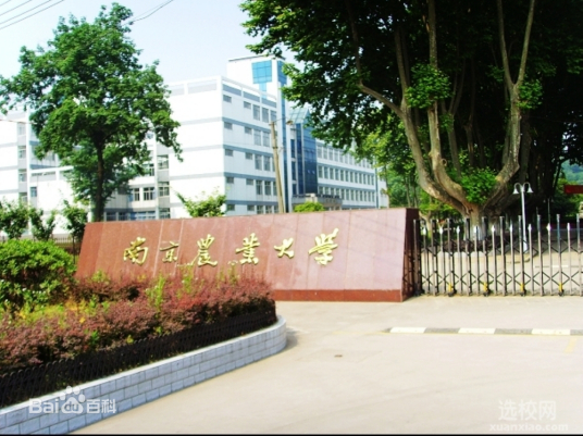 南京农业大学密西根学院