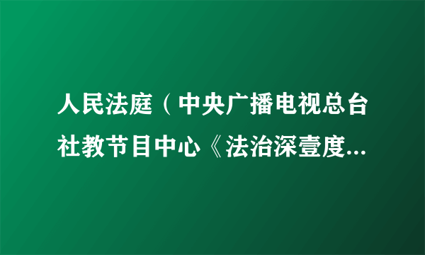 人民法庭（中央广播电视总台社教节目中心《法治深壹度》栏目推出的基层法院全景式纪实节目）