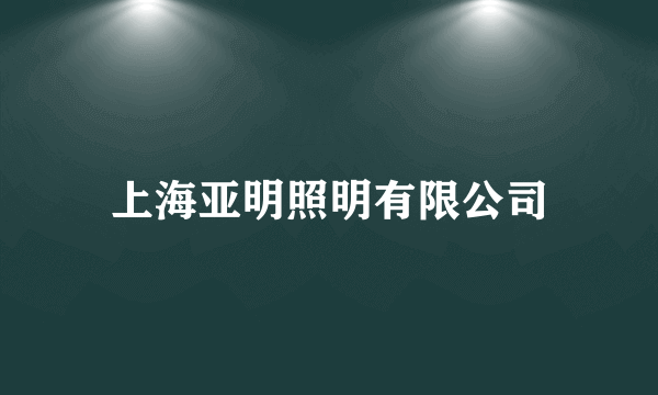 上海亚明照明有限公司