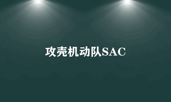 攻壳机动队SAC