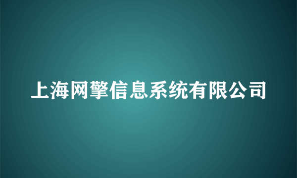 上海网擎信息系统有限公司