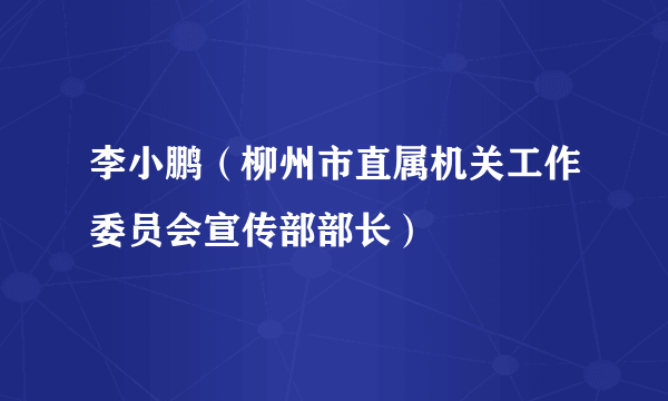 李小鹏（柳州市直属机关工作委员会宣传部部长）