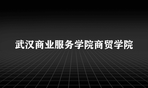 武汉商业服务学院商贸学院