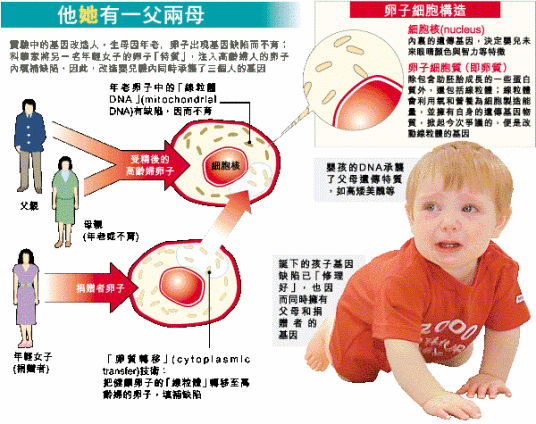 基因改造人