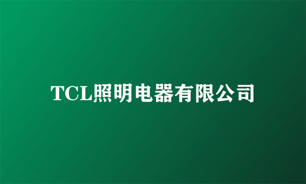 TCL照明电器有限公司