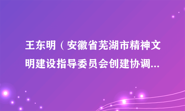 王东明（安徽省芜湖市精神文明建设指导委员会创建协调科科长、港澳台侨和外事委员会委员）