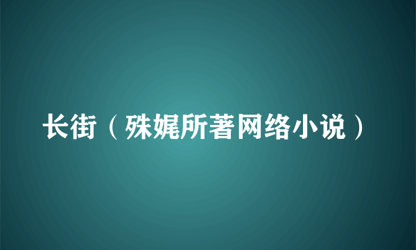 长街（殊娓所著网络小说）