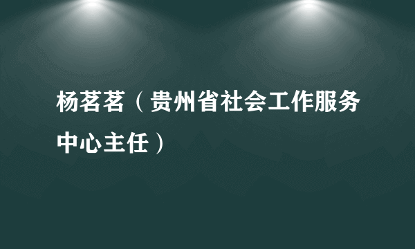 杨茗茗（贵州省社会工作服务中心主任）