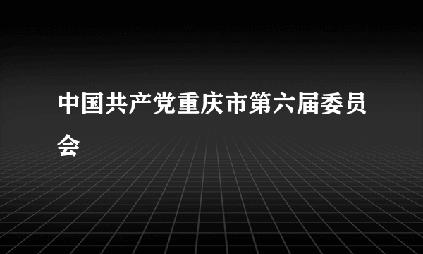 中国共产党重庆市第六届委员会