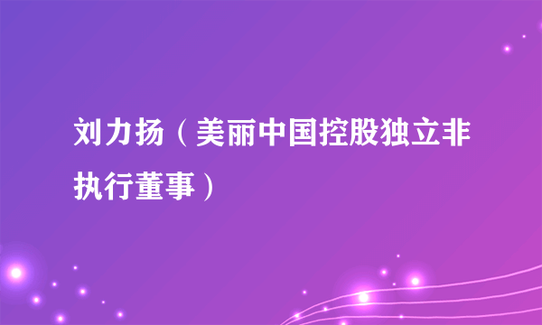 刘力扬（美丽中国控股独立非执行董事）