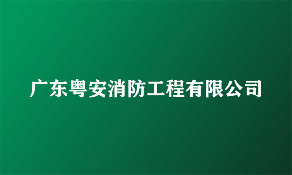 广东粤安消防工程有限公司