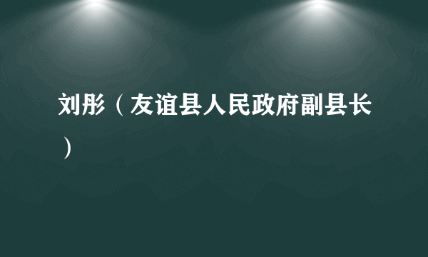 刘彤（友谊县人民政府副县长）