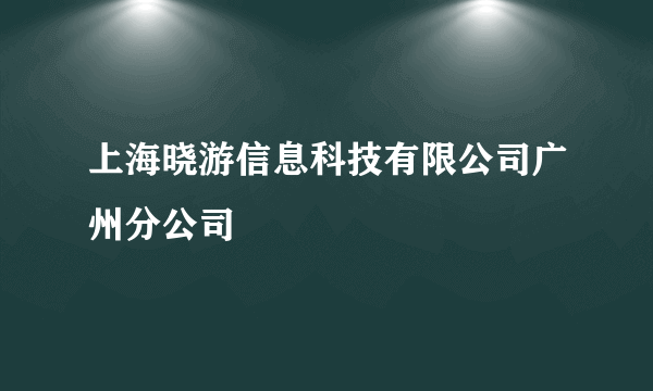 上海晓游信息科技有限公司广州分公司