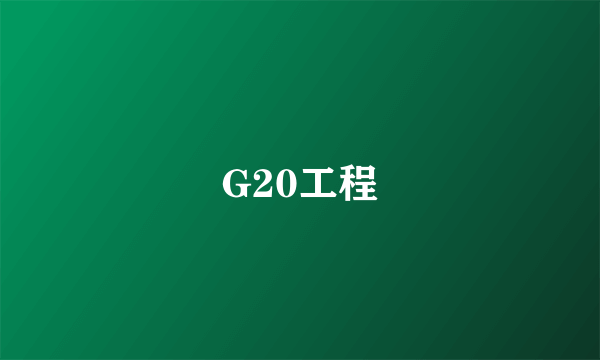 G20工程