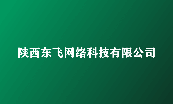 陕西东飞网络科技有限公司