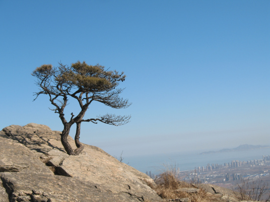 磁山（山东烟台名山）