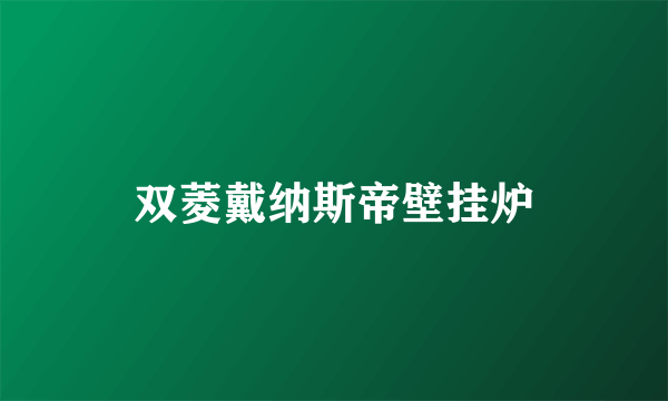 双菱戴纳斯帝壁挂炉