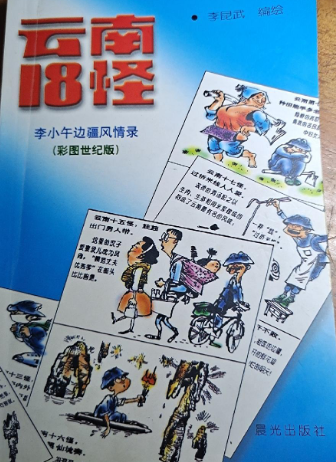 云南十八怪（2001年晨光出版社出版的图书）