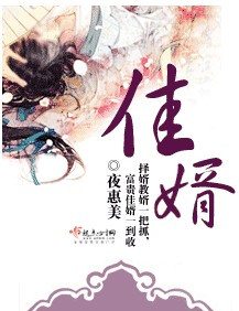 佳婿（夜恵美创作的网络小说）